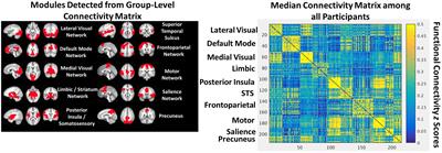 Childhood Trauma and Functional Connectivity between Amygdala and Medial Prefrontal Cortex: A Dynamic Functional Connectivity and Large-Scale Network Perspective